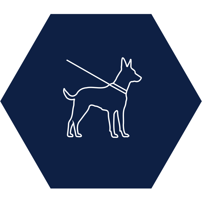 Powerone Services GmbH | Ihr bundesweiter Sicherheitsdienst | Leistungen | Hundeführer im Sicherheitsdienst